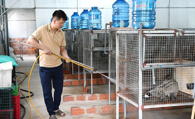 Anh nông dân lãi 500 triệu đồng nhờ bẻ lái nuôi con hiền như cục đất mê ăn chuối-1