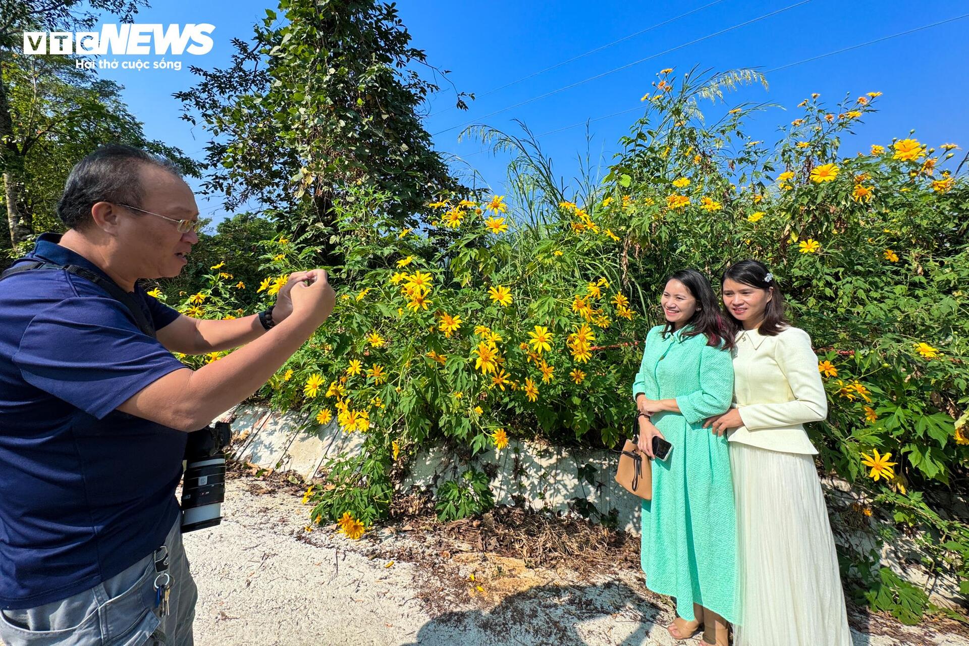 Giới trẻ mê mẩn check-in thiên đường hoa dã quỳ ở ngoại thành Hà Nội-14