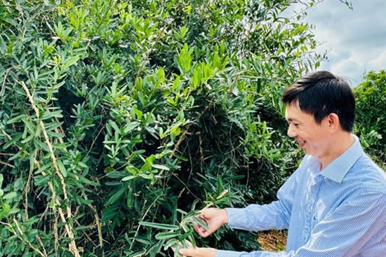 Anh nông dân kiếm 5 tỷ đồng nhờ 