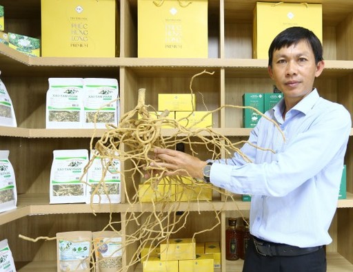 Anh nông dân kiếm 5 tỷ đồng nhờ bẻ lái trồng thứ cây độc lạ quý như vàng-3