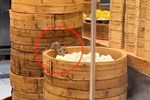 Chuột thản nhiên 'dạo chơi' trong bếp nhà hàng dimsum được Michelin gợi ý