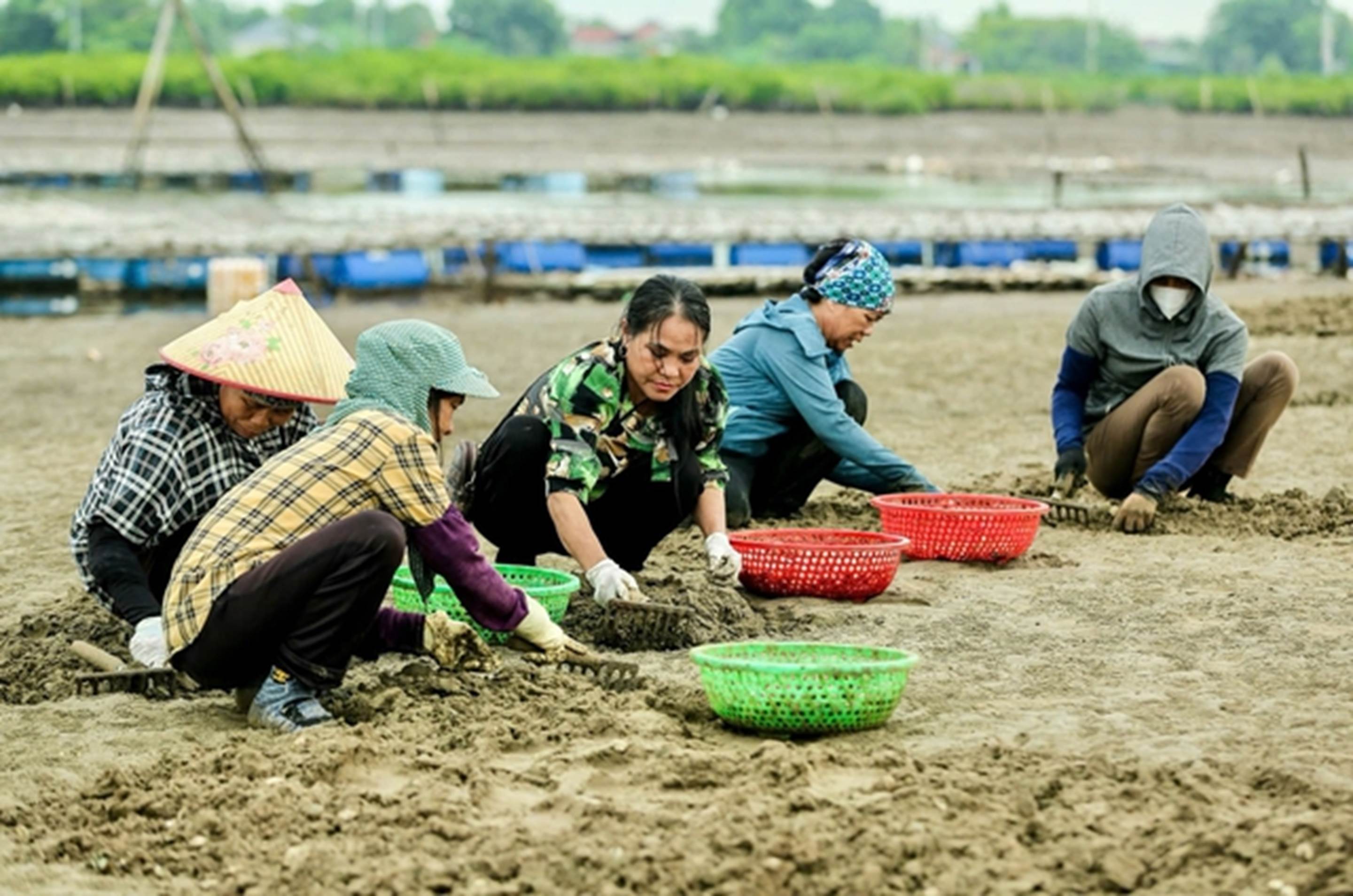 Từ đôi bàn tay trắng, bà nông dân kiếm 150 tỷ đồng/năm nhờ nuôi con hiền như cục đất-2