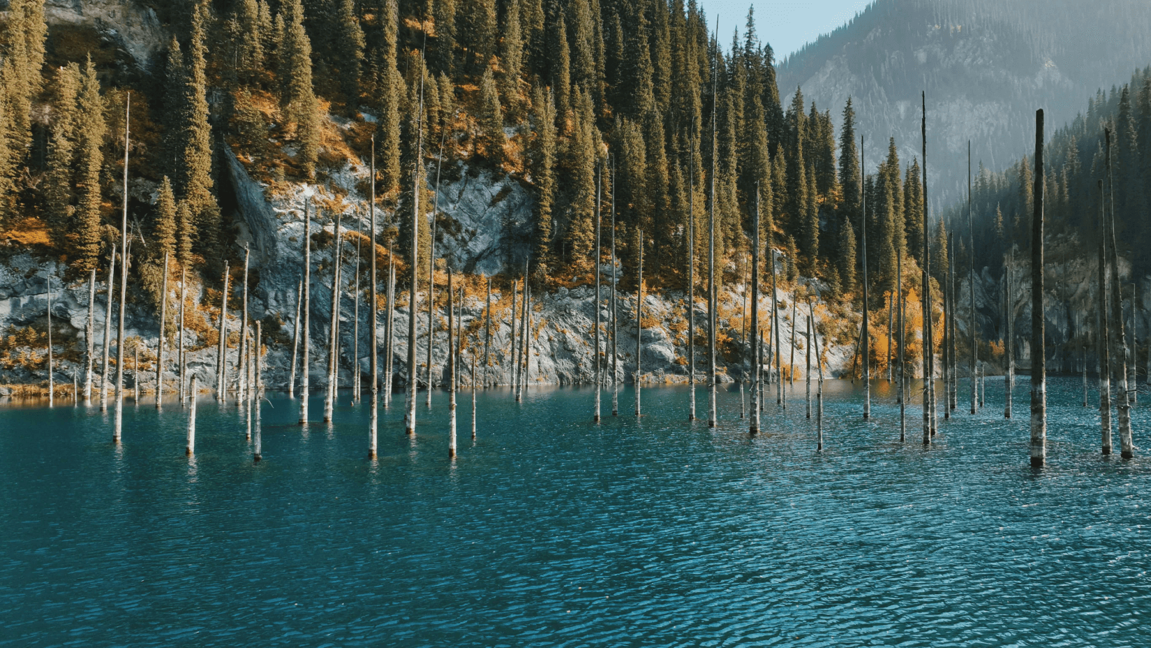 Bí ẩn rừng cây lộn ngược giữa hồ nước kỳ ảo-1