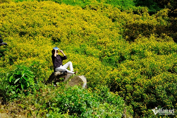 Phản ứng bất ngờ của khách Tây khi nếm thử món lòng lợn chấm mắm tôm-6