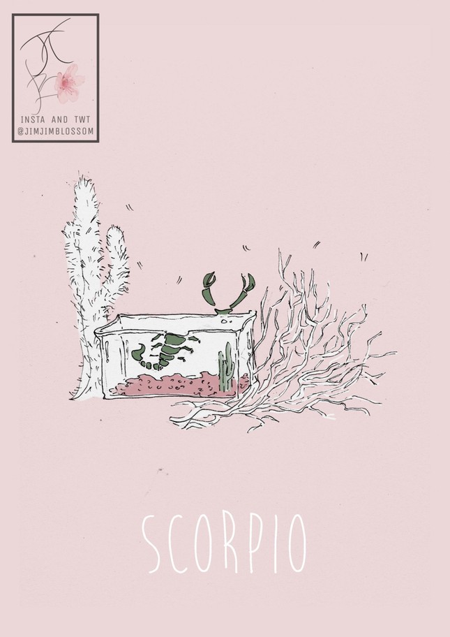 Khi 12 chòm sao rung động: Thiên Bình đề cao sự hòa hợp, Bảo Bình mở lòng hơn-2