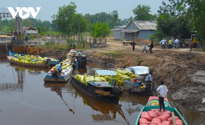 Làng quê buồn hiu, khoảng trống lòng người-6