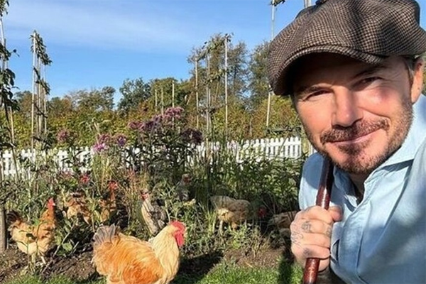 Chàng trai Nghệ An khoe video trồng rau nơi xứ người hút gần 8 triệu lượt xem-2