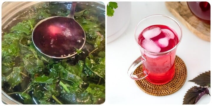 Uống nước tía tô mỗi ngày có tốt?-1