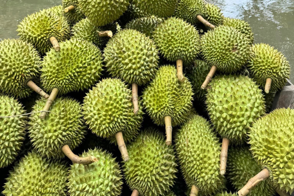 Phản ứng bất ngờ của khách Hàn lần đầu nếm đặc sản nặng mùi ở Việt Nam-8