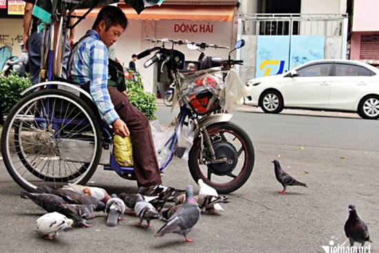 Người bán vé số ở TPHCM mua thức ăn 'đãi' chim trời để bớt cô đơn