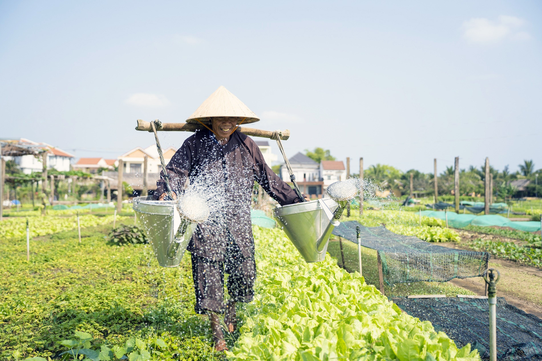 Khách Tây đến Hội An, hào hứng làm nông dân ở làng du lịch tốt nhất năm 2024-3