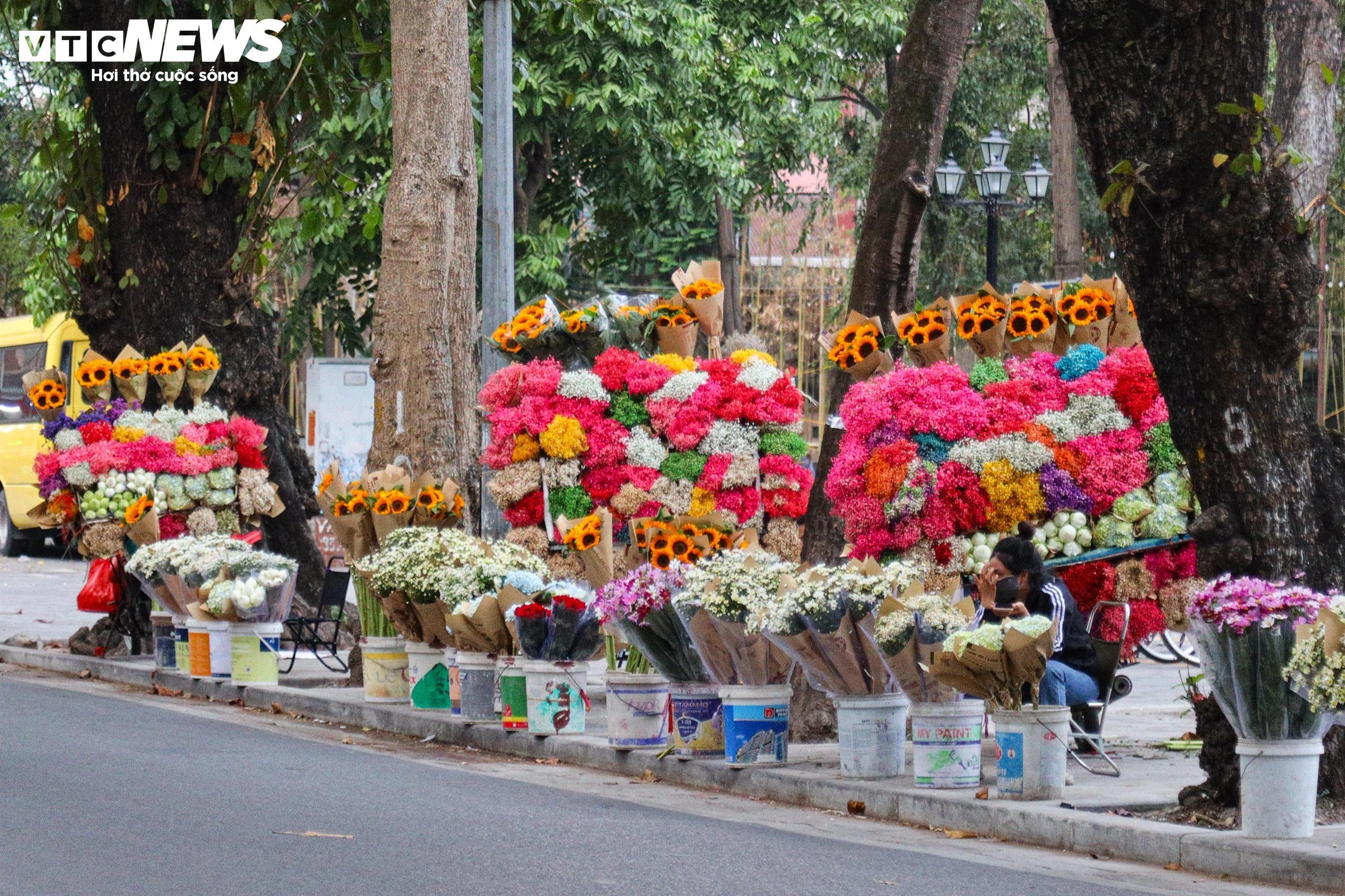 Sát ngày 20/11, hoa tươi tăng giá mạnh-2