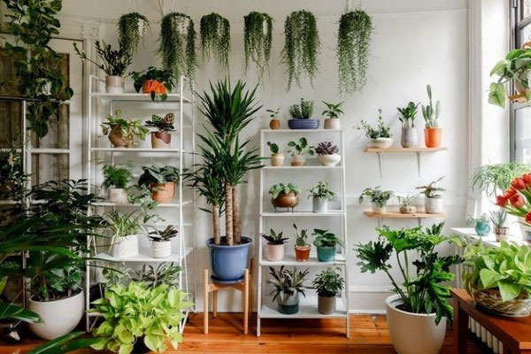 Nhà một tầng thân thiện với môi trường của vợ chồng trẻ ở Phú Quốc-14