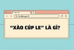 Xào cúp le' là gì mà gây sốt mạng xã hội?