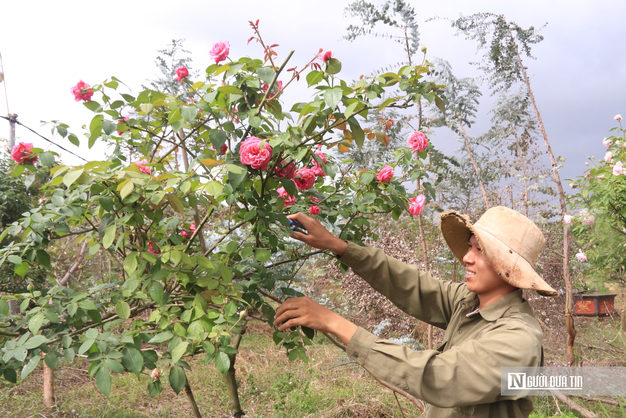 Khởi nghiệp từ những món quà tặng mẹ, chàng trai 9X mang về doanh thu khủng”-2