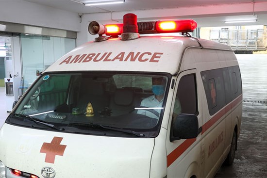 Cấp cứu vì loại củ quen thuộc có chứa chất cực độc nhưng nhiều người không biết