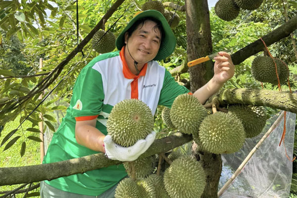 Giảm ăn hàng Thái, chỉ 1 tháng Trung Quốc vung 16.000 tỷ mua ‘vua trái cây Việt’-2