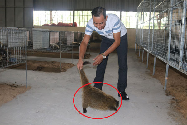 Mạnh dạn đầu tư nuôi loài siêu to khổng lồ, anh nông dân nhẹ nhàng lãi 2 tỷ đồng-4