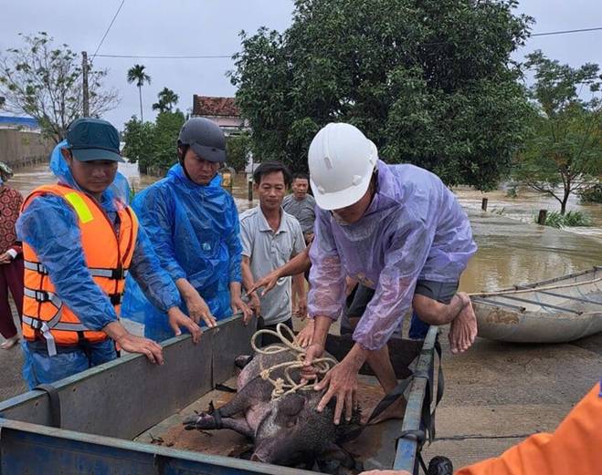 Nhiều nhà dân ở Quảng Ngãi chìm trong biển nước, miền núi sạt lở-3