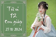 Tử vi 12 con giáp hôm nay ngày 27/11/2024: Dần may mắn, Tuất khó khăn