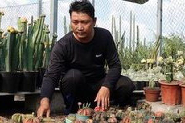 Mạnh dạn nuôi con dân nhậu thích mê, anh nông dân bỏ túi 300 triệu/năm rất nhẹ nhàng-3