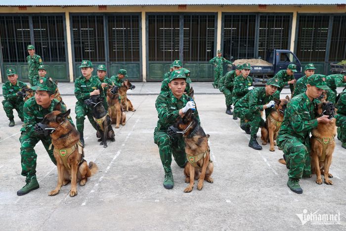 Chú chó cứu hộ ở Làng Nủ sẽ trình diễn tại Triển lãm Quốc phòng quốc tế Việt Nam-4