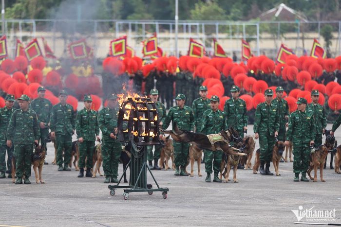 Chú chó cứu hộ ở Làng Nủ sẽ trình diễn tại Triển lãm Quốc phòng quốc tế Việt Nam-6