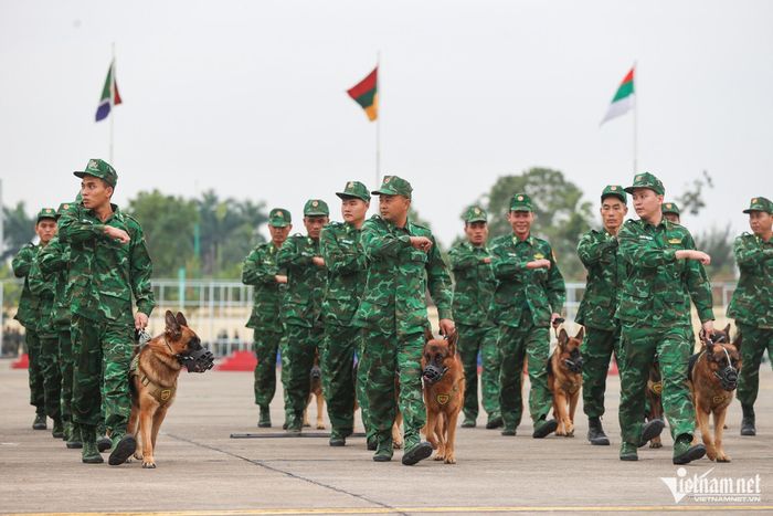 Chú chó cứu hộ ở Làng Nủ sẽ trình diễn tại Triển lãm Quốc phòng quốc tế Việt Nam-1