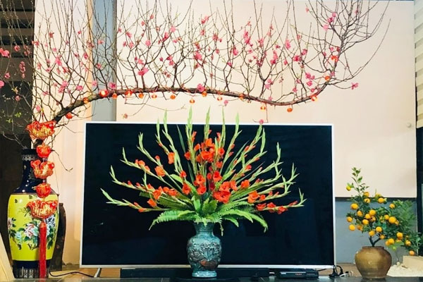 Cây phong thủy theo nghề nghiệp cho tiền vào như nước-6