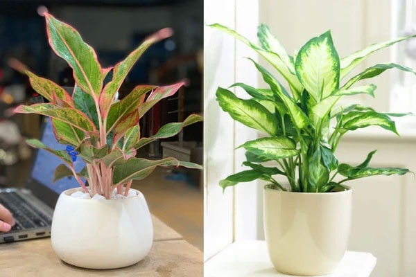 Cách sắp xếp bàn ghế phòng khách hợp phong thủy thúc đẩy sự thăng tiến cho chủ nhà-4