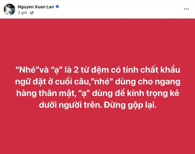 Netizen tranh cãi khi siêu mẫu Xuân Lan liên tục bắt bẻ bài viết của người khác-1