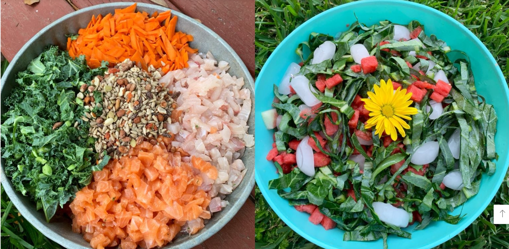 Mẹ Việt ở Mỹ nuôi gà như thú cưng, cho ăn cá hồi, hạt óc chó, thu trứng đủ màu-3