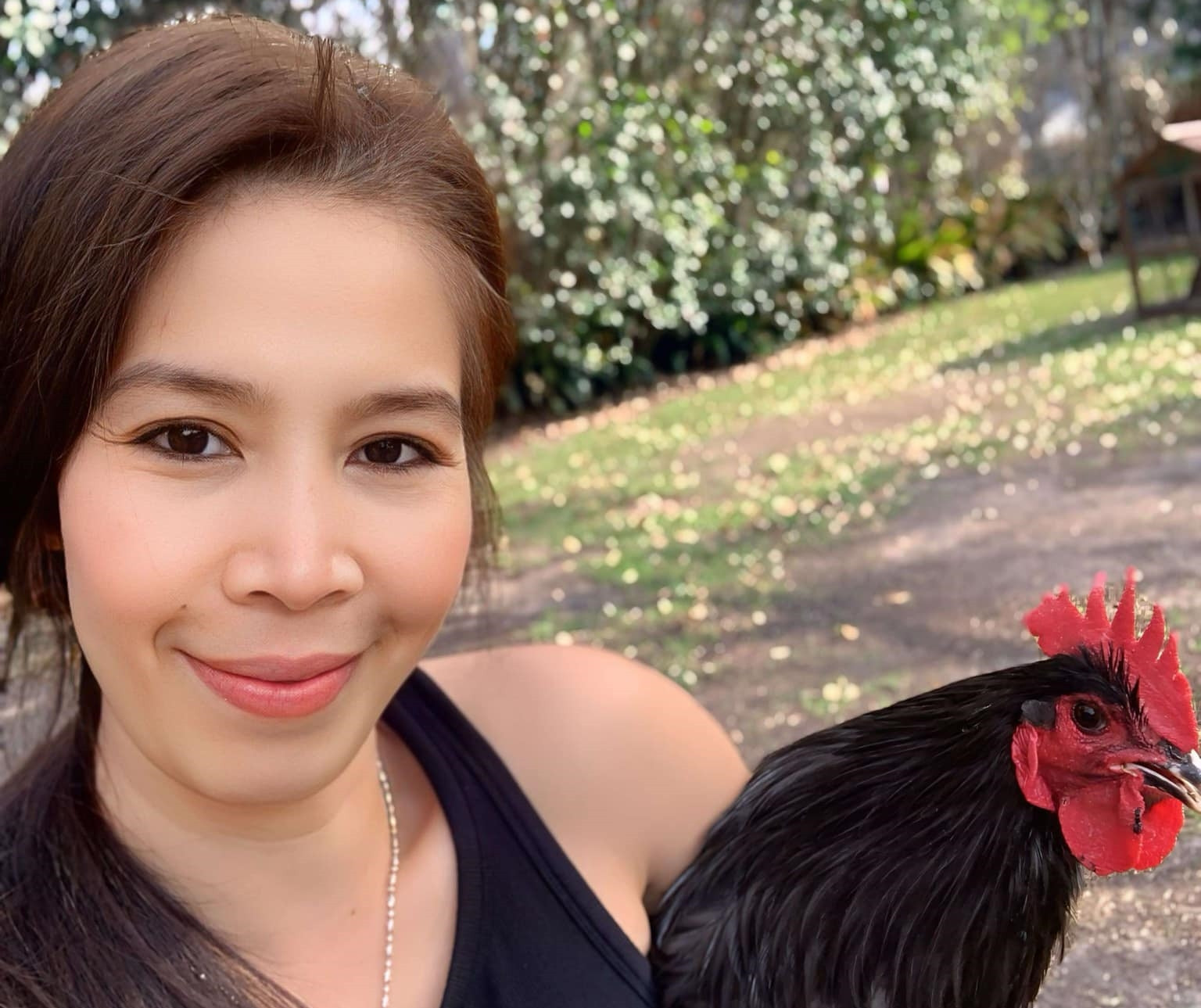 Mẹ Việt ở Mỹ nuôi gà như thú cưng, cho ăn cá hồi, hạt óc chó, thu trứng đủ màu-6