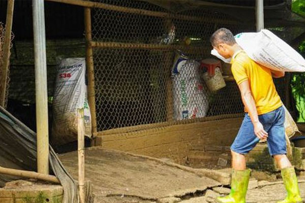 Mạnh dạn nuôi con ăn tạp dân nhậu thích mê, anh nông dân kiếm 500 triệu đồng rất nhẹ nhàng-4