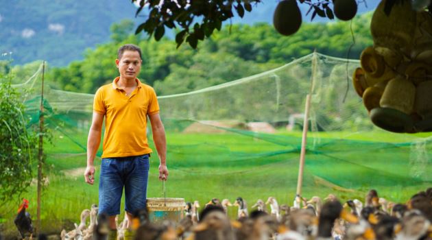 Mạnh dạn nuôi con dân nhậu thích mê, anh nông dân bỏ túi 300 triệu/năm rất nhẹ nhàng-1