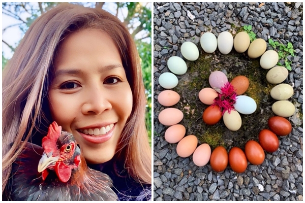 Ông lão Hà Nội nuôi vịt như thú cưng, chiều chiều dắt đi dạo phố-6