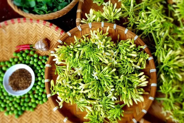 Công dụng của xạ đen và hoa đu đủ đực-2