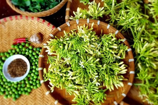 Lương y hướng dẫn cách nấu hoa đu đủ đực với xạ đen