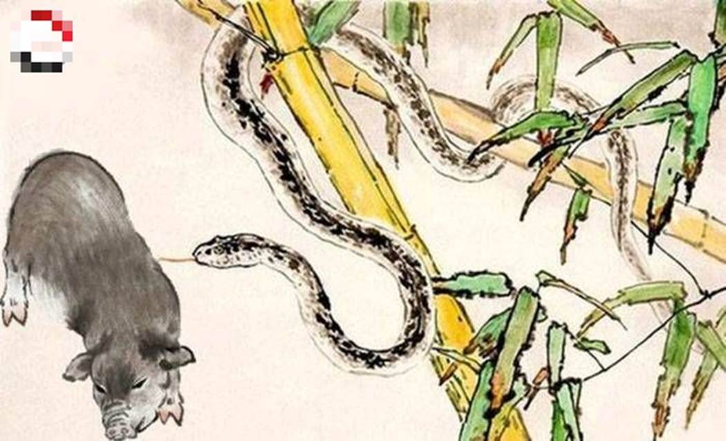 6 cặp con giáp tương xung, lấy nhau về dễ gặp trắc trở, của cải tiêu tán-5