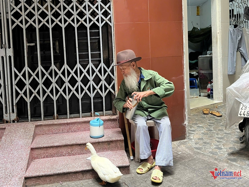 Ông lão Hà Nội nuôi vịt như thú cưng, chiều chiều dắt đi dạo phố-2