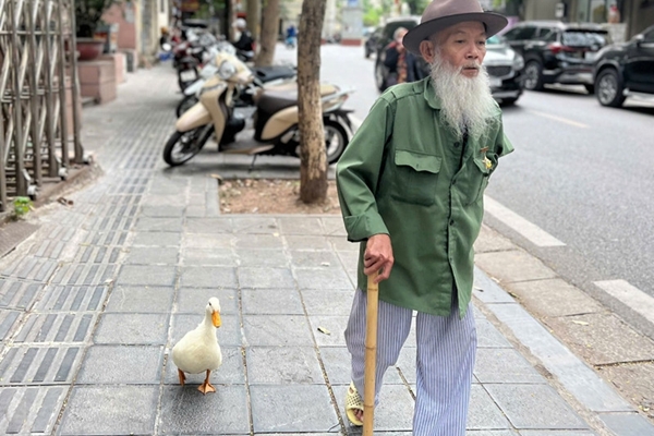 Thấy gì từ trào lưu nuôi đá cưng?-3