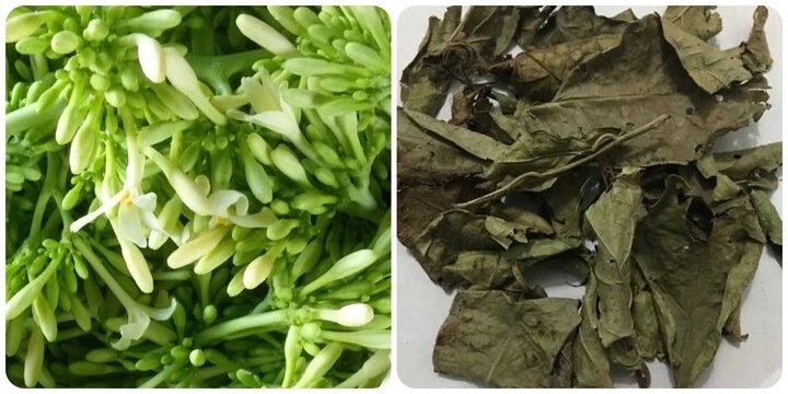 Công dụng của xạ đen và hoa đu đủ đực-1