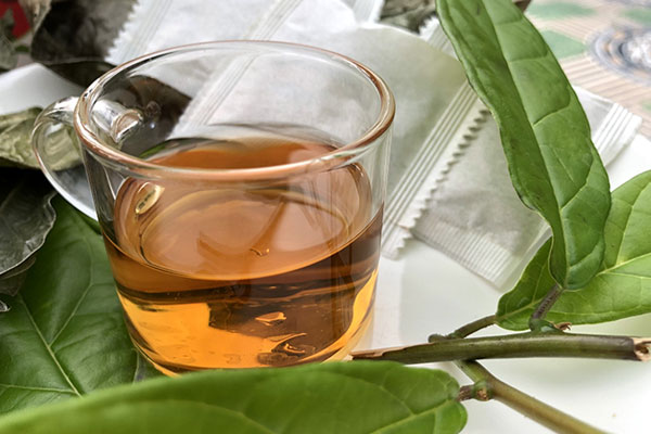 Lá đinh lăng xào trứng có tác dụng gì?-2