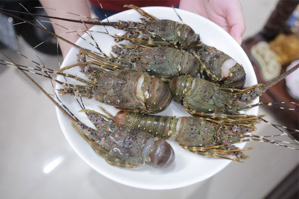 Tôm quỷ đỏ đắt nhất thế giới đổ bộ chợ Tết Ất Tỵ, giá 4,7 triệu đồng/kg-2