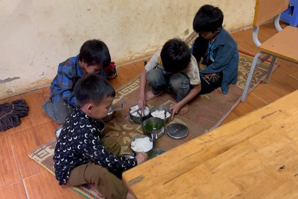 Hiệu trưởng lập khống hồ sơ tăng giờ, tự ý bán cây xanh-2