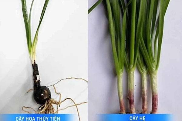 Vợ mới sinh, chồng đốt than sưởi ấm khiến cả nhà 4 người bị ngộ độc-2