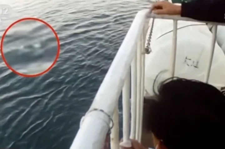 Đẩy vợ xuống biển ở điểm mù camera để lấy tiền bảo hiểm, chồng bị tử hình-4