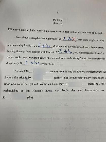 Bài kiểm tra tiếng Anh gây phẫn nộ của một học sinh-1