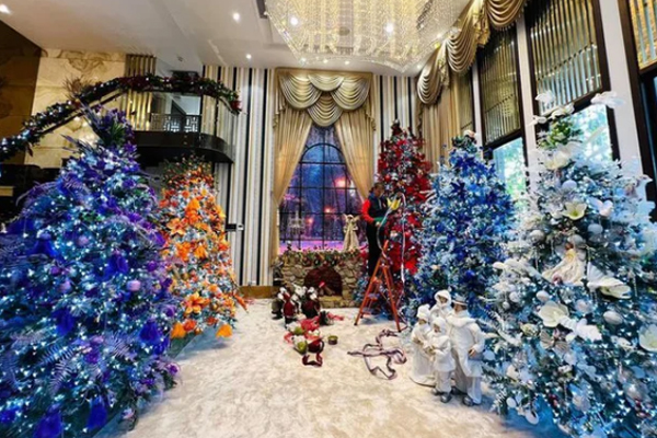 Trước khi hủy đơn kiện tỷ phú công nghệ, Đàm Vĩnh Hưng có tài sản ‘khủng’ ra sao?-5