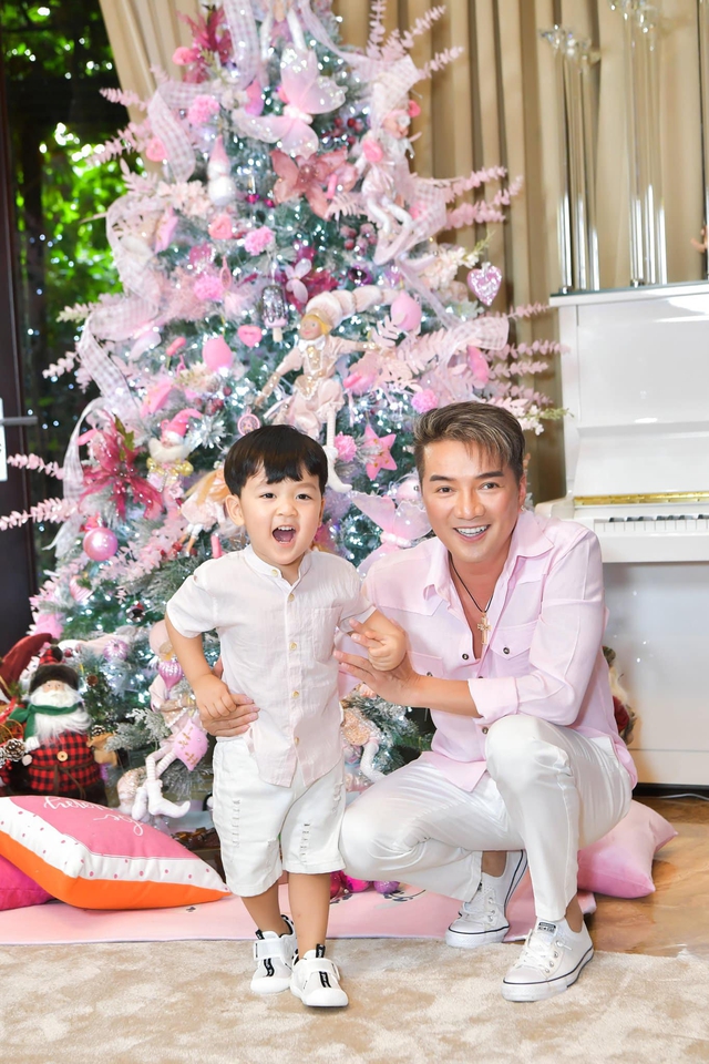 Trước khi hủy đơn kiện tỷ phú công nghệ, Đàm Vĩnh Hưng có tài sản ‘khủng’ ra sao?-9